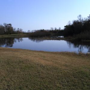 Photo #16 of Lot 112 COVENTON LANE, HORNTOWN, VA 3.2 acres