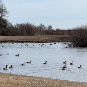 Photo #3 of Lot 112 COVENTON LANE, HORNTOWN, VA 3.2 acres