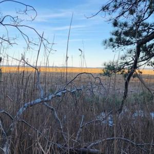 Photo #4 of Lot 55 NEPTUNE DR, GREENBACKVILLE, VA 0.5 acres