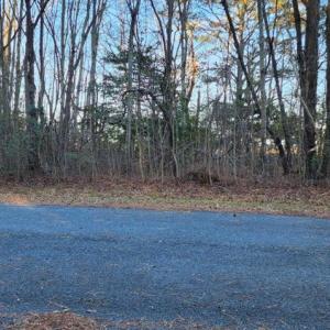 Photo #2 of Lot 55 NEPTUNE DR, GREENBACKVILLE, VA 0.5 acres