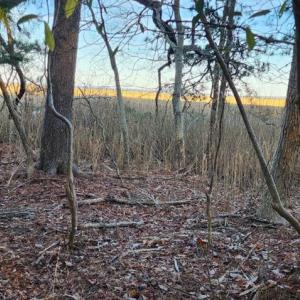 Photo #3 of Lot 55 NEPTUNE DR, GREENBACKVILLE, VA 0.5 acres