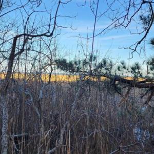 Photo #7 of Lot 55 NEPTUNE DR, GREENBACKVILLE, VA 0.5 acres