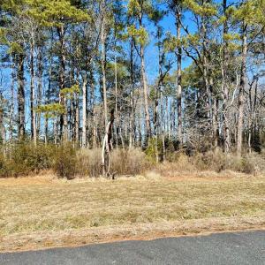 Photo #3 of Lot 3 EAGLE DRIVE, NEW CHURCH, VA 10.9 acres