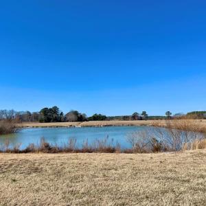 Photo #30 of Lot 3 EAGLE DRIVE, NEW CHURCH, VA 10.9 acres