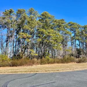 Photo #38 of Lot 3 EAGLE DRIVE, NEW CHURCH, VA 10.9 acres