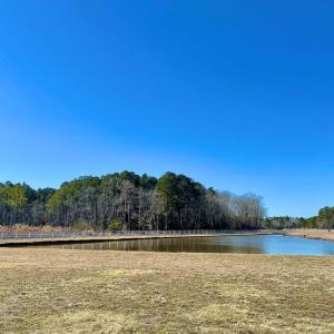 Photo #39 of Lot 3 EAGLE DRIVE, NEW CHURCH, VA 10.9 acres