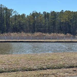 Photo #4 of Lot 3 EAGLE DRIVE, NEW CHURCH, VA 10.9 acres