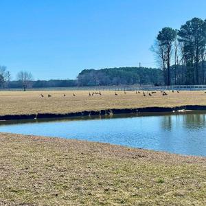 Photo #41 of Lot 3 EAGLE DRIVE, NEW CHURCH, VA 10.9 acres