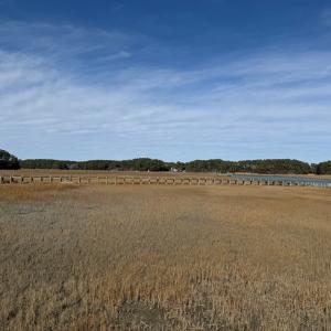 Photo #10 of Lot 35 SEAVIEW ST, ACCOMAC, VA 3.3 acres