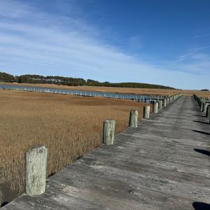 Photo #6 of Lot 35 SEAVIEW ST, ACCOMAC, VA 3.3 acres