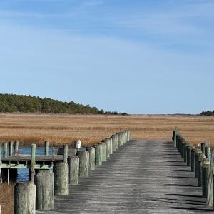 Photo #8 of Lot 35 SEAVIEW ST, ACCOMAC, VA 3.3 acres