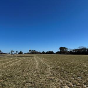 Photo #2 of Lot 35 SEAVIEW ST, ACCOMAC, VA 3.3 acres