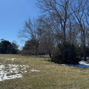 Photo #3 of Lot 35 SEAVIEW ST, ACCOMAC, VA 3.3 acres