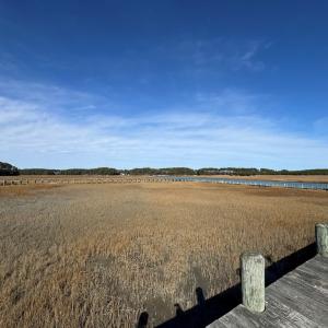 Photo #9 of Lot 35 SEAVIEW ST, ACCOMAC, VA 3.3 acres