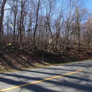 Photo #2 of 150 SHAMOKIN SPRINGS TRL, WINTERGREEN RESORT, VA 0.4 acres
