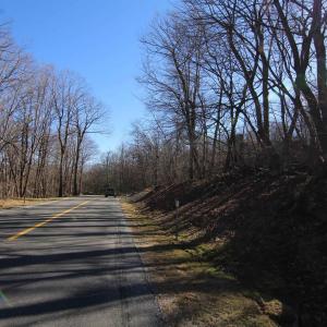 Photo #3 of 150 SHAMOKIN SPRINGS TRL, WINTERGREEN RESORT, VA 0.4 acres