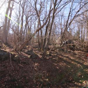 Photo #4 of 150 SHAMOKIN SPRINGS TRL, WINTERGREEN RESORT, VA 0.4 acres