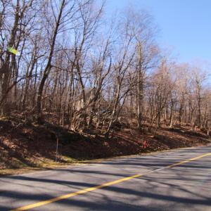 Photo #5 of 150 SHAMOKIN SPRINGS TRL, WINTERGREEN RESORT, VA 0.4 acres