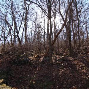 Photo #6 of 150 SHAMOKIN SPRINGS TRL, WINTERGREEN RESORT, VA 0.4 acres