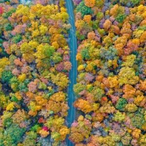 Photo #23 of 150 SHAMOKIN SPRINGS TRL, WINTERGREEN RESORT, VA 0.4 acres