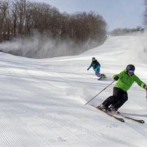 Photo #8 of 150 SHAMOKIN SPRINGS TRL, WINTERGREEN RESORT, VA 0.4 acres