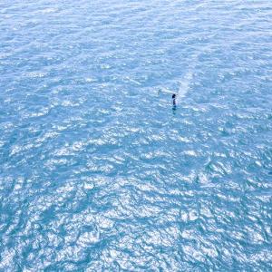 WIND SURFING ANYONE