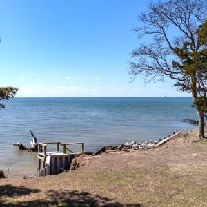 NEW STEPS TO THE WATER