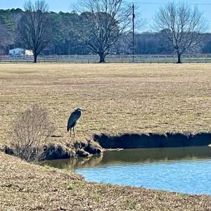 Photo #6 of Lot 26 EAGLE DRIVE, NEW CHURCH, VA 3.3 acres