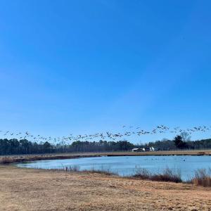 Photo #31 of Lot 26 EAGLE DRIVE, NEW CHURCH, VA 3.3 acres