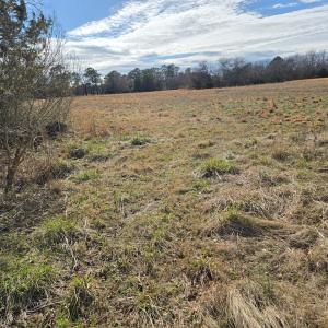 Photo #2 of MINK FARM RD, ONANCOCK, VA 12.0 acres