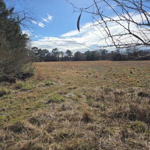 Photo #3 of MINK FARM RD, ONANCOCK, VA 12.0 acres