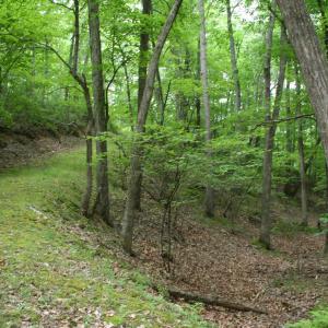 Photo #8 of 20 HIGH VALLEY SOUTH, MONTEREY, VA 5.0 acres