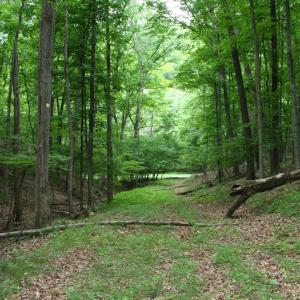 Photo #1 of 20 HIGH VALLEY SOUTH, MONTEREY, VA 5.0 acres