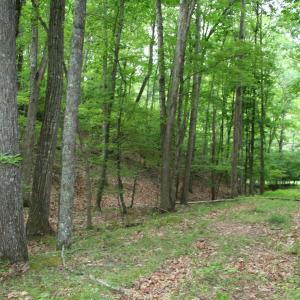 Photo #9 of 20 HIGH VALLEY SOUTH, MONTEREY, VA 5.0 acres