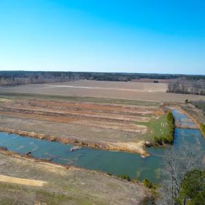 2+ Acre Waterfowl Pond