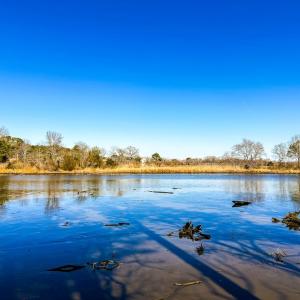 View From Creek Blind
