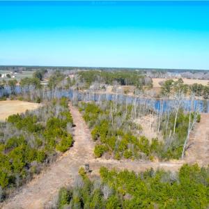 Access Trails and Hunting Lanes