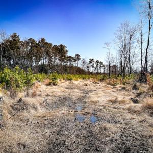 South Side Access Trail