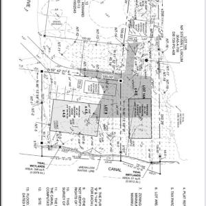 Survey/Wetland Delineation