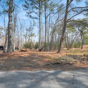 Access to the property