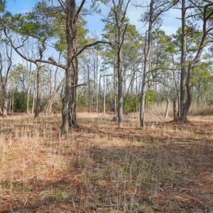 Photo #6 of Lot 14A HOWARD DRIVE, CHINCOTEAGUE, VA 14.0 acres