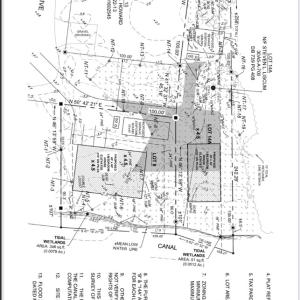 Survey/Wetland Delineation