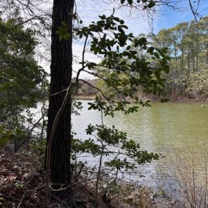 Photo #10 of 1 CHURCH NECK RD, MACHIPONGO, VA 1.2 acres