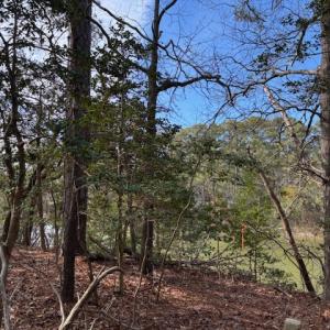Photo #12 of 1 CHURCH NECK RD, MACHIPONGO, VA 1.2 acres
