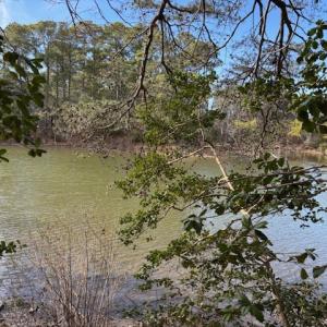 Photo #13 of 1 CHURCH NECK RD, MACHIPONGO, VA 1.2 acres