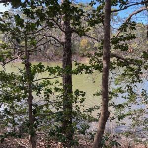 Photo #14 of 1 CHURCH NECK RD, MACHIPONGO, VA 1.2 acres