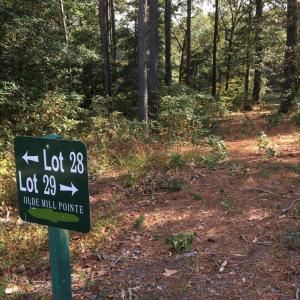 Photo #2 of Lot 29 OLDE MILL LANE, NEW CHURCH, VA 44.0 acres