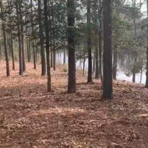 Photo #4 of Lot 29 OLDE MILL LANE, NEW CHURCH, VA 44.0 acres