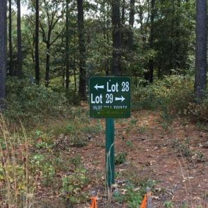 Photo #5 of Lot 29 OLDE MILL LANE, NEW CHURCH, VA 44.0 acres