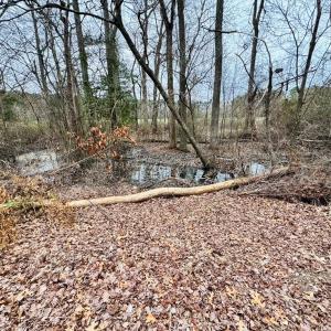Photo #8 of SERENITY LN, ONANCOCK, VA 2.7 acres